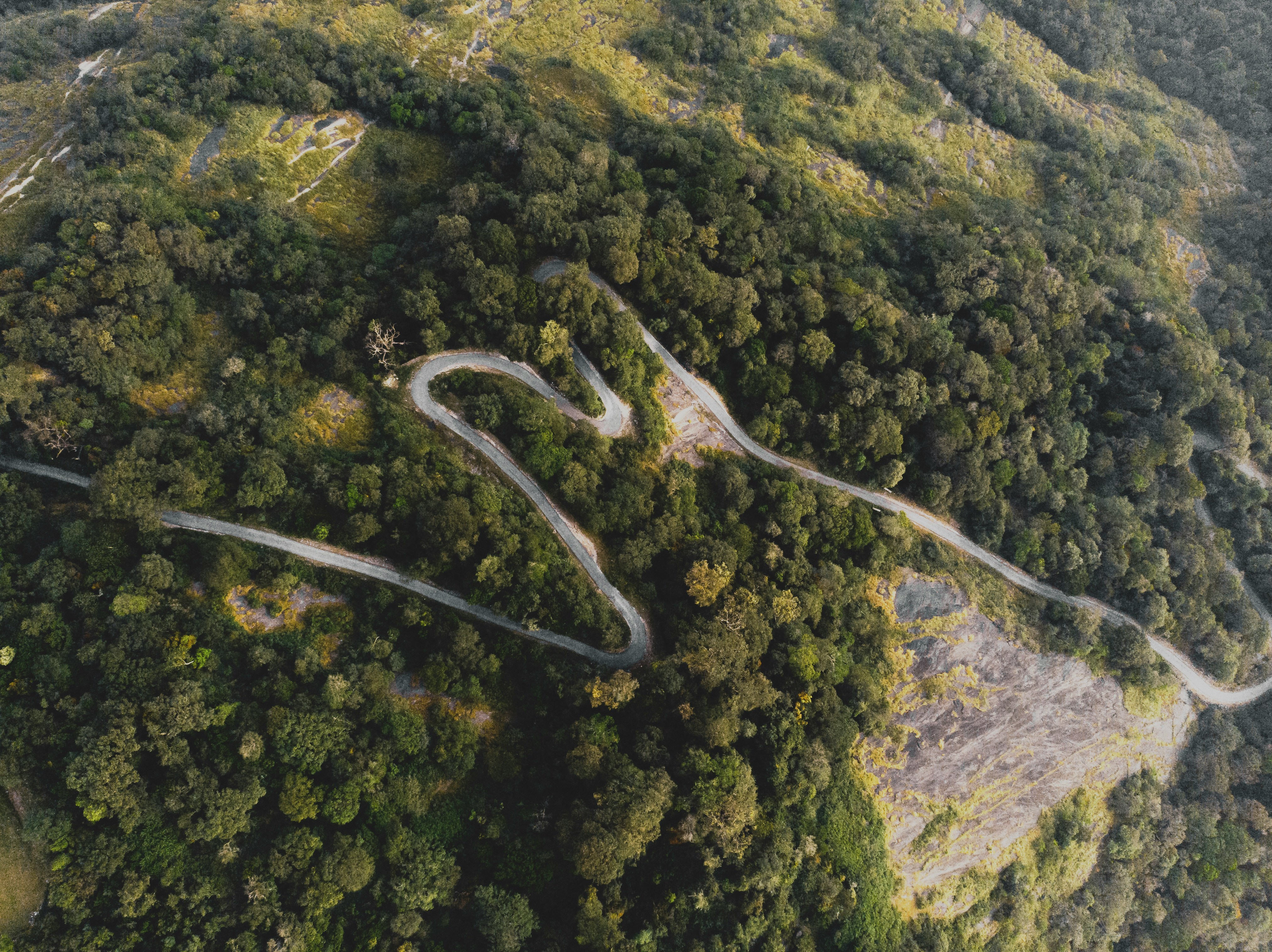 Agumbe