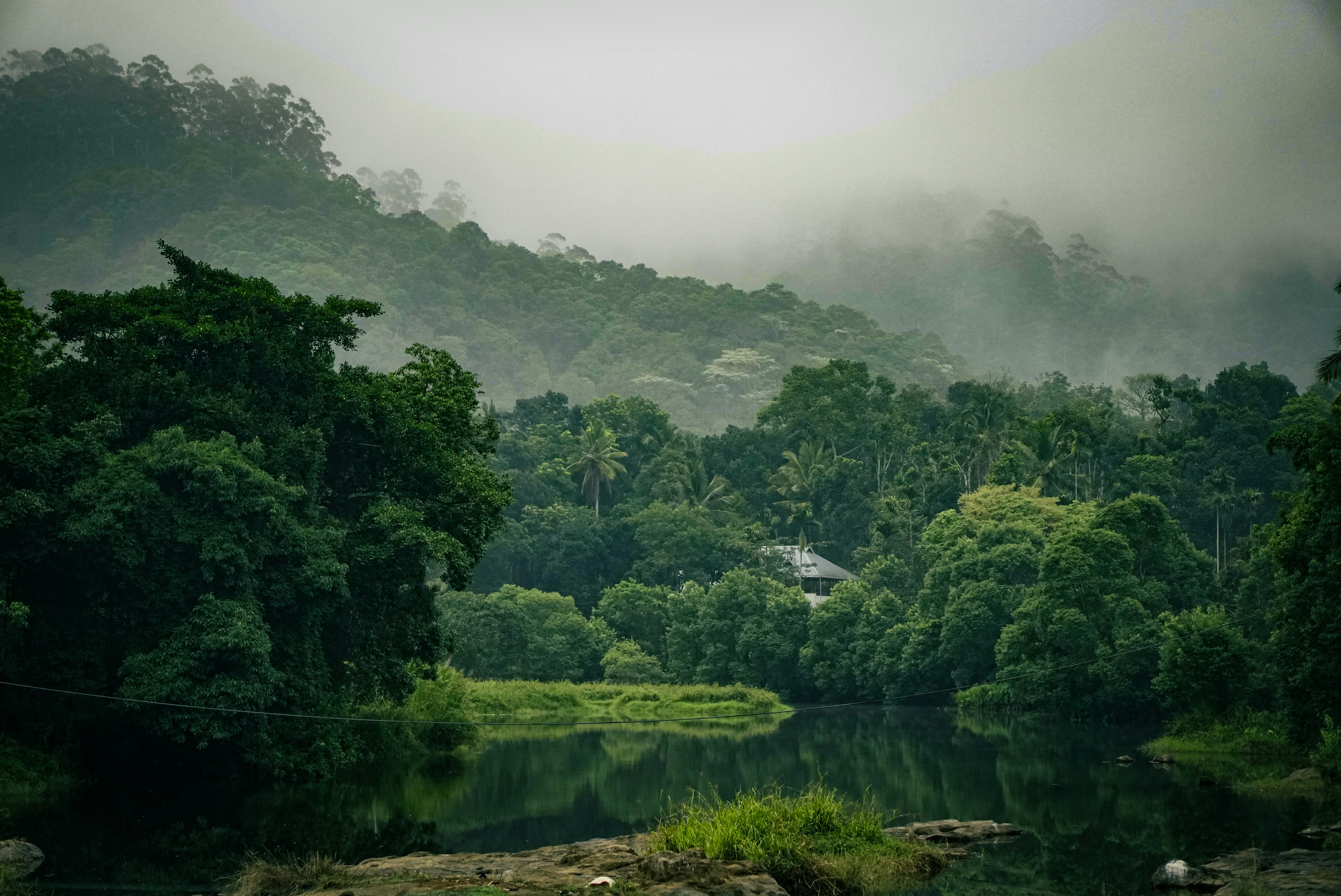 Thekkady